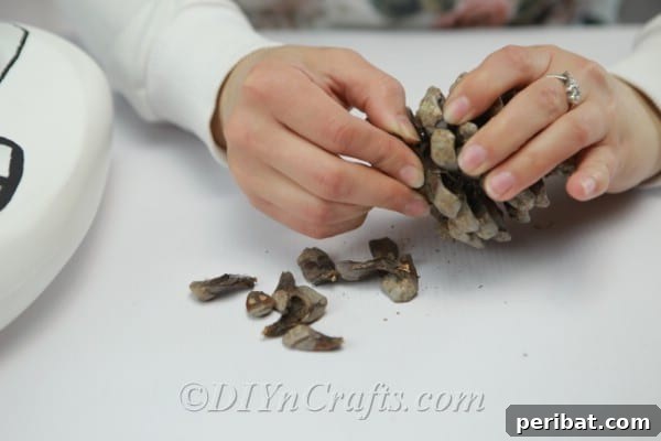Pulling apart a pinecone to prepare scales for the fairy house roof, highlighting natural materials