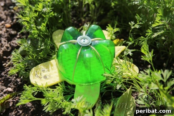 How To Make a Floating Plastic Bottle Turtle