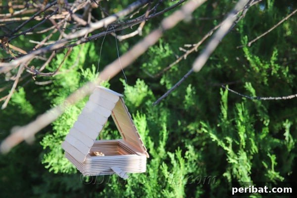 You can easily craft a beautiful DIY bird feeder using simple craft sticks.