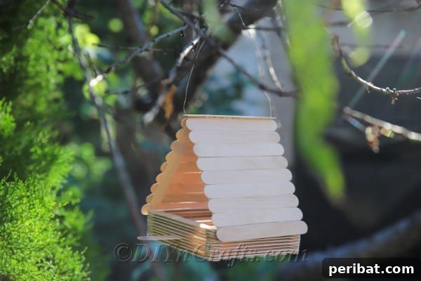 Creating a craft stick bird feeder is both affordable and incredibly simple.