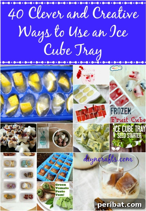 Beyond Ice: 40 Genius Ice Cube Tray Hacks 2 40 Clever and Creative Ways to Use an Ice Cube Tray