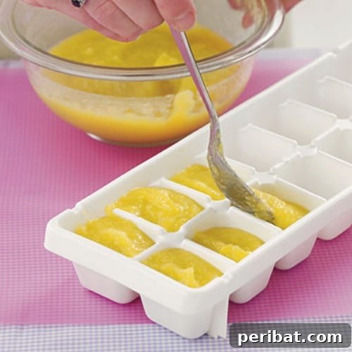 Beyond Ice: 40 Genius Ice Cube Tray Hacks 15 Make and Freeze Your Own Baby Food