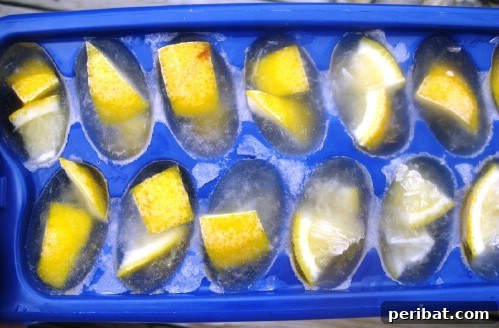 Beyond Ice: 40 Genius Ice Cube Tray Hacks 3 Make Cleaners for the Garbage Disposal