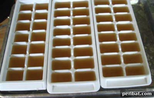 Beyond Ice: 40 Genius Ice Cube Tray Hacks 21 Make Ahead Soup Stock