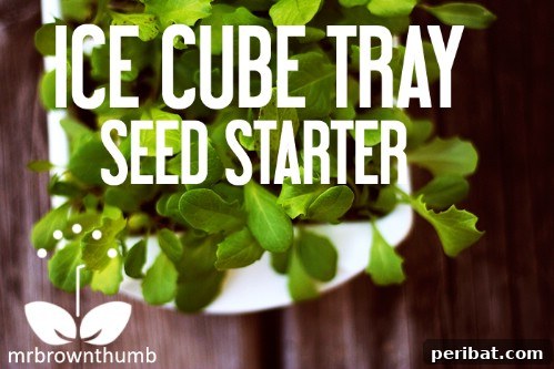 Beyond Ice: 40 Genius Ice Cube Tray Hacks 32 Make Your Own Seed Starters