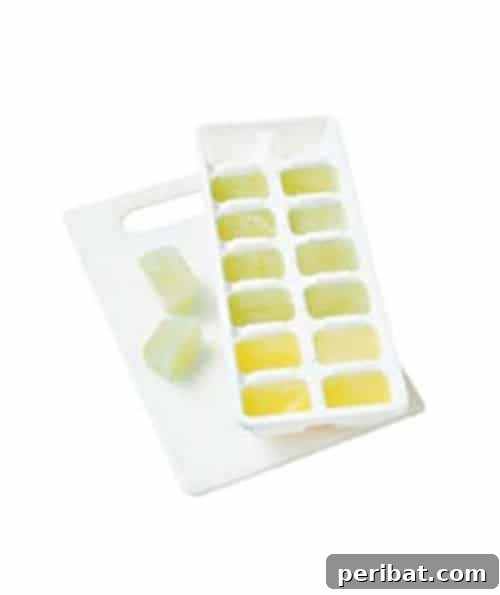 Beyond Ice: 40 Genius Ice Cube Tray Hacks 41 Save Lemon and Lime Juice