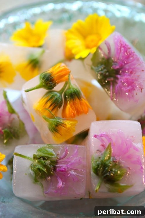 Beyond Ice: 40 Genius Ice Cube Tray Hacks 10 Make Herbal Ice Cubes