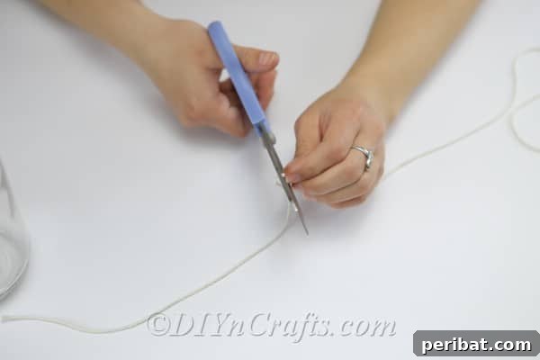 Eski Kavanoza Yeni Hayat: Duvarına Asılan Çiçek Şöleni 10 Measure and cut rustic string or twine for the jar's hanging loop.