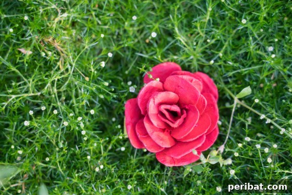 Craft Exquisite Roses from Recycled Egg Cartons 20 It was amazingly easy to make this stunning rose from an egg carton, a true testament to simple DIY.