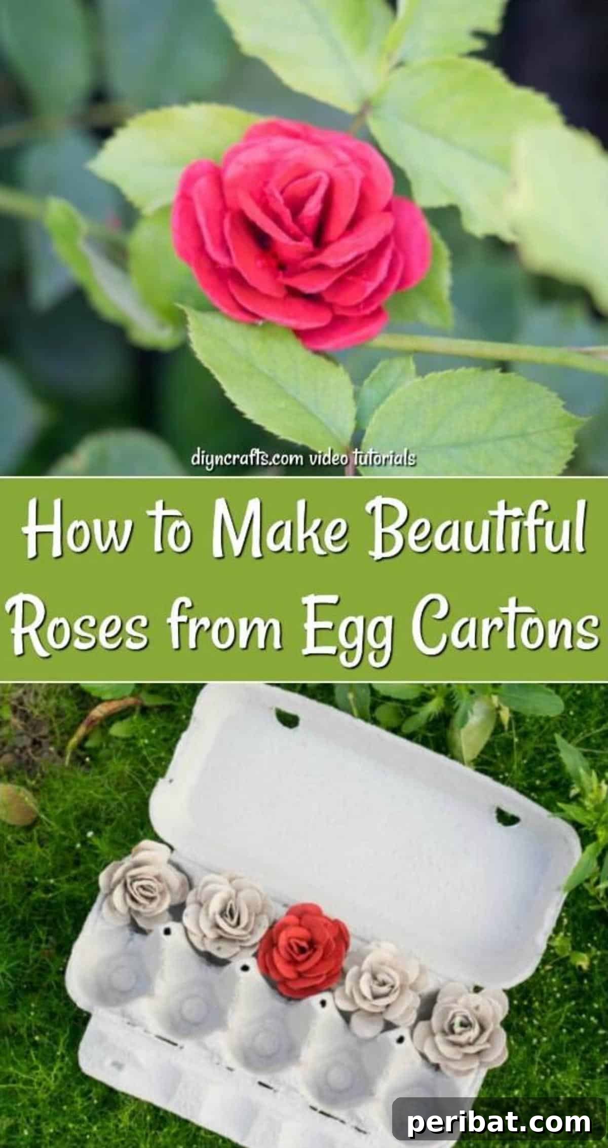 Craft Exquisite Roses from Recycled Egg Cartons 23 Egg carton roses collage for Pinterest, perfect for saving craft ideas.