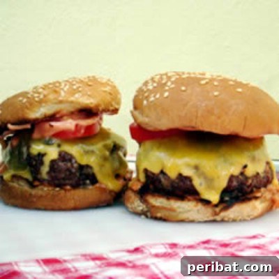 The Ultimate Summer Grilling Guide: 40 Irresistible Recipes 11 Ranch Burgers
