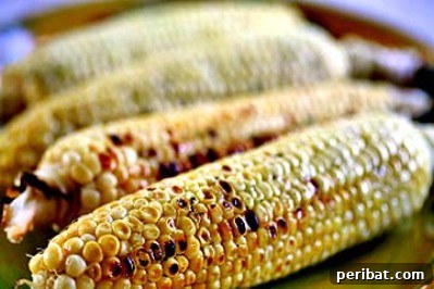The Ultimate Summer Grilling Guide: 40 Irresistible Recipes 24 Grilled Corn on the Cob