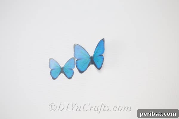 Two butterfly stencils in different sizes have been cut out and are ready for tracing.