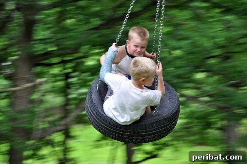 Old Fashioned Tire Swing