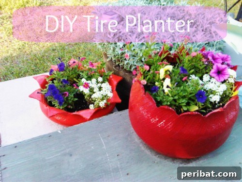 Beautiful Planters