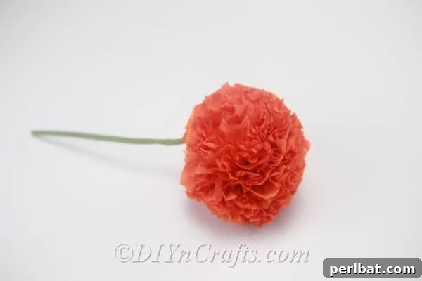 The fully assembled and fluffed tissue paper pom-pom flower, elegantly resting against a crisp white background.