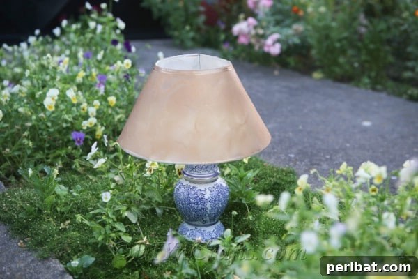 A beautifully placed solar garden light illuminates a garden path, adding both safety and aesthetic appeal.