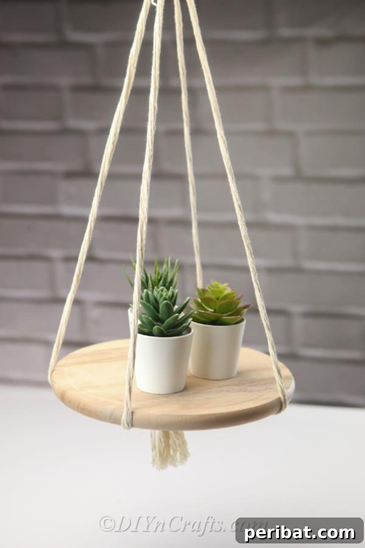 Make Your Own Decorative Hanging Shelf 4 A charming DIY hanging shelf adorned with three vibrant succulent plants, demonstrating its perfect use for bringing greenery indoors.