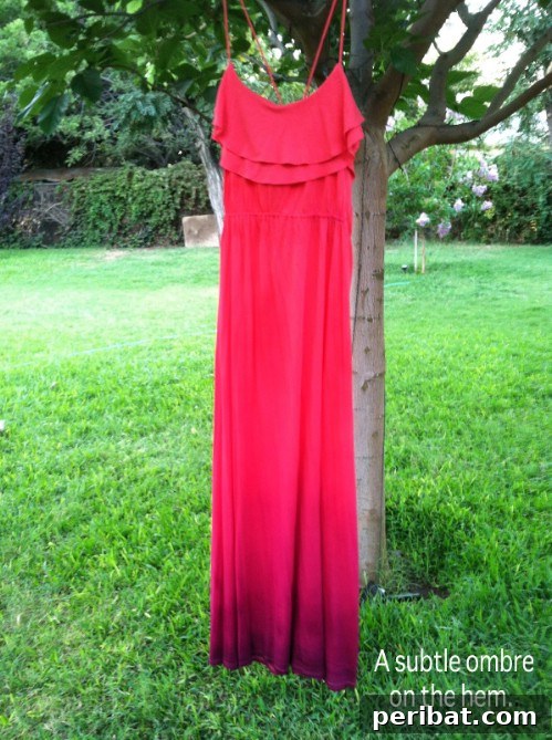 Ombre Maxi Dress