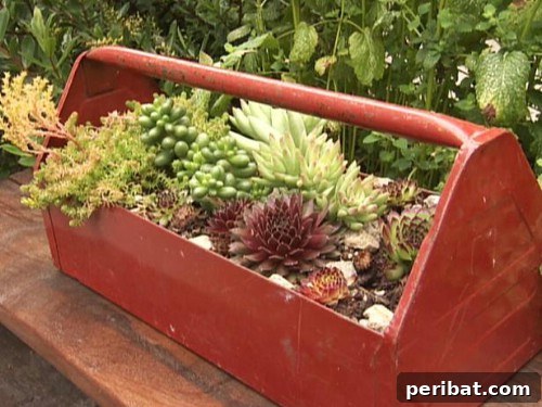 Stunning & Simple DIY Flower Bed Projects for Outdoor Appeal 14 Tool Box Flower Gardens with a rustic look