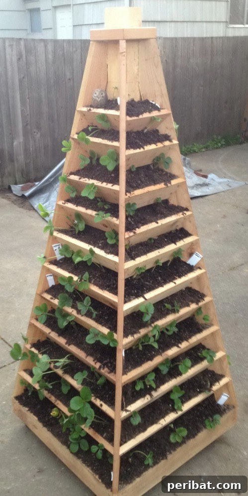 Stunning & Simple DIY Flower Bed Projects for Outdoor Appeal 20 Vertical Pyramid Flower Bed for compact spaces
