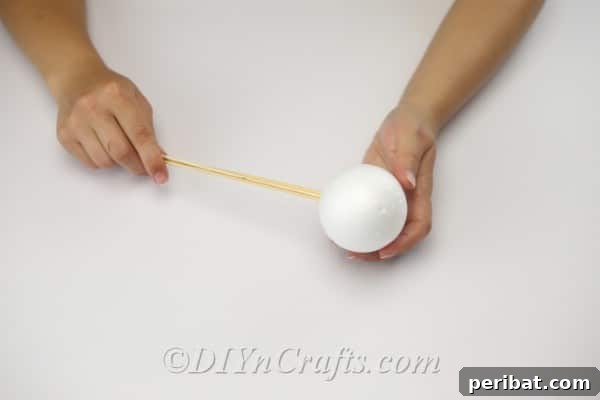 Craft Your Own Garden Spheres 6 Push the wooden stick into the Styrofoam ball firmly to create a stable handle.