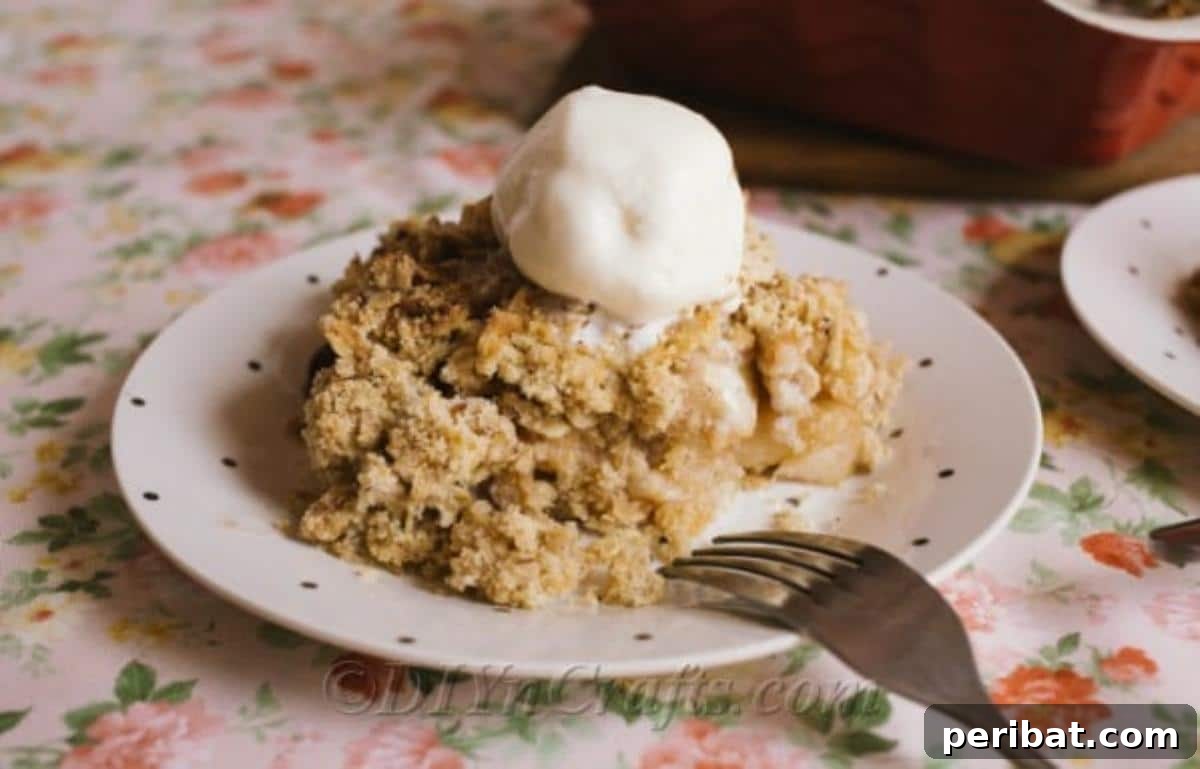 Effortless Homestyle Apple Crumble 5 Up close picture of a prepared apple crumble recipe served with ice cream on a white plate, highlighting the steam and melting ice cream.