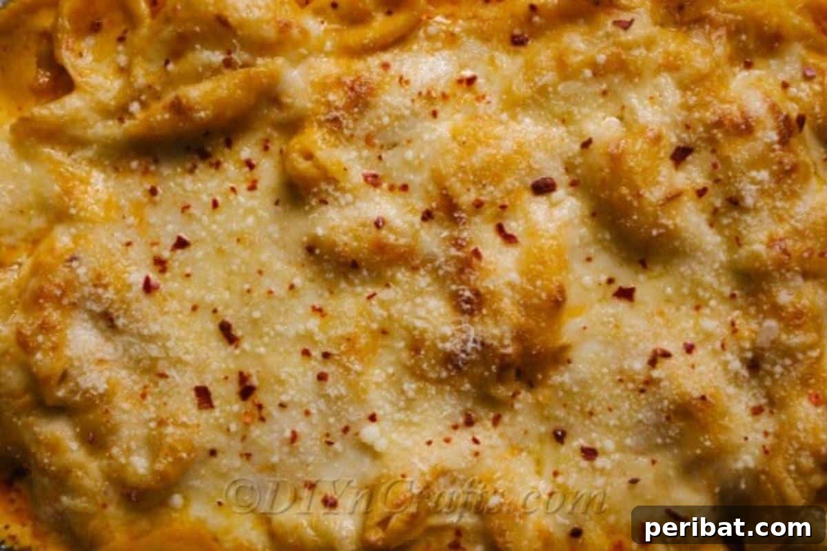 Decadent Homemade Mac and Cheese Bake 3 Close-up overhead shot of creamy baked mac and cheese with a slightly crisp topping, showcasing the melted cheese and pasta shells.