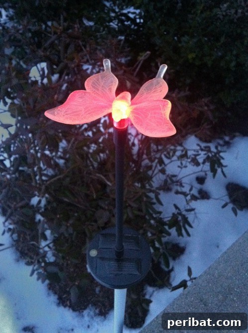 70 Genius Summer Backyard DIYs to Elevate Your Outdoor Space 16 Rejuvenate Solar Lights