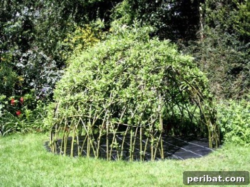 70 Genius Summer Backyard DIYs to Elevate Your Outdoor Space 19 Build a Living Tee Pee