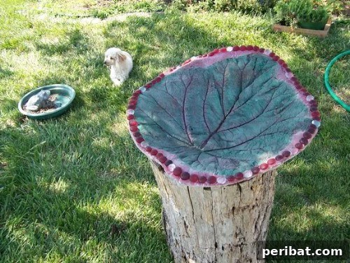 70 Genius Summer Backyard DIYs to Elevate Your Outdoor Space 25 Make Stepping Stones from Rhubarb Leaves