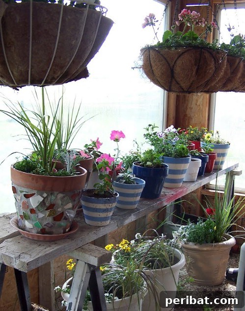 70 Genius Summer Backyard DIYs to Elevate Your Outdoor Space 38 Diaper Your Hanging Planters