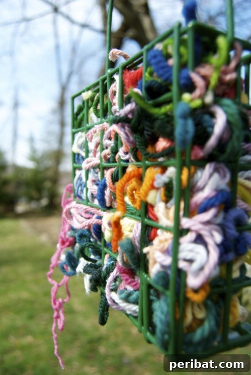 70 Genius Summer Backyard DIYs to Elevate Your Outdoor Space 39 Give Birds Colorful Nesting Materials