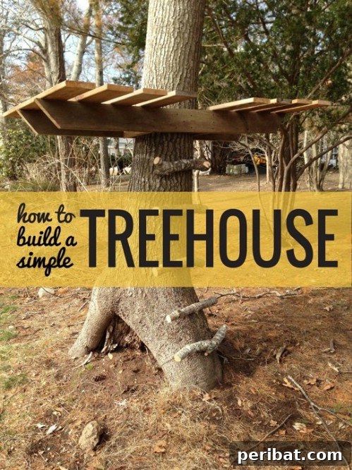 70 Genius Summer Backyard DIYs to Elevate Your Outdoor Space 47 Build a Tree House