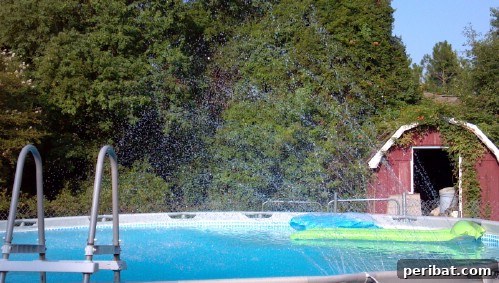 70 Genius Summer Backyard DIYs to Elevate Your Outdoor Space 66 Put a Fountain in the Pool