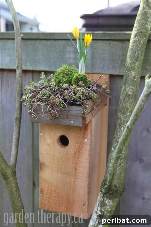 70 Genius Summer Backyard DIYs to Elevate Your Outdoor Space 69 Build a Green Roofed Birdhouse