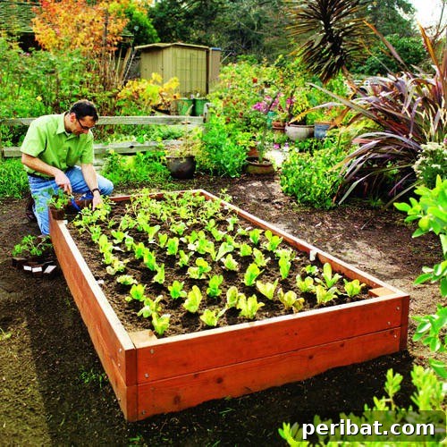 70 Genius Summer Backyard DIYs to Elevate Your Outdoor Space 70 Build Raised Garden Beds