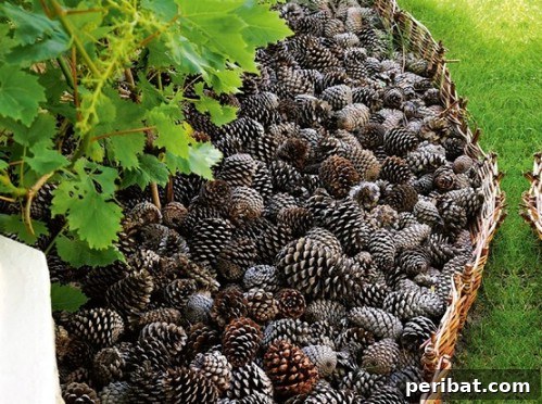 70 Genius Summer Backyard DIYs to Elevate Your Outdoor Space 9 Fill Flower Beds with Pinecones