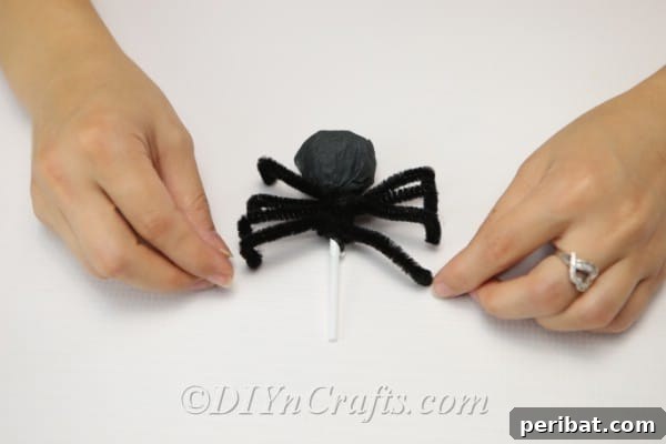 The spider craft lollipop with all eight pipe cleaner legs securely attached and shaped.