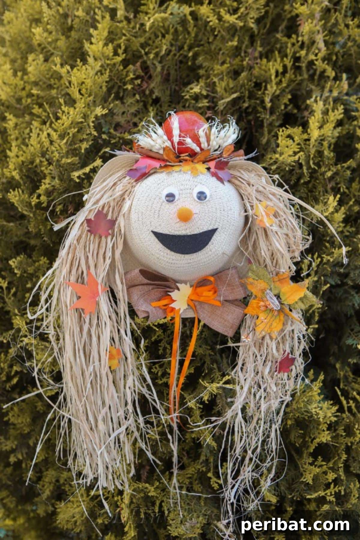 A lady scarecrow harvest decor sitting on a green shrub outside