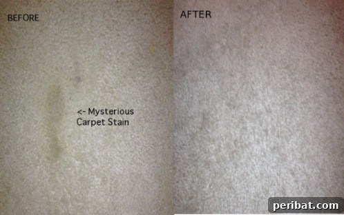 25 Genius Cleaning Shortcuts for a Sparkling Home 11 Iron and Vinegar for Carpet Stains