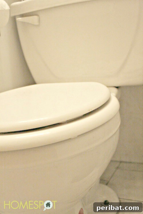 25 Genius Cleaning Shortcuts for a Sparkling Home 21 Toilet Cleaning with Vinegar and Duct Tape