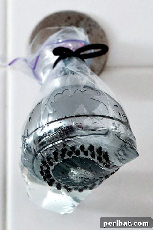 25 Genius Cleaning Shortcuts for a Sparkling Home 26 Overnight Showerhead Cleaning with Vinegar
