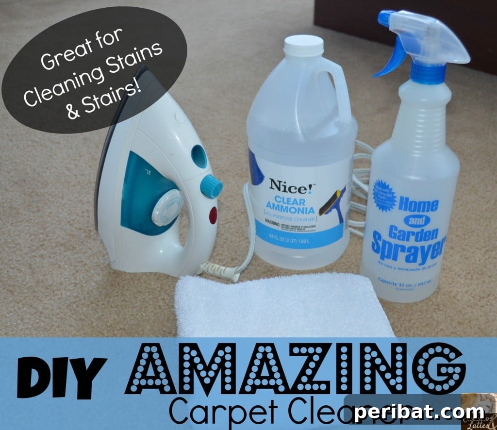 25 Genius Cleaning Shortcuts for a Sparkling Home 8 DIY Ammonia and Iron Carpet Cleaner