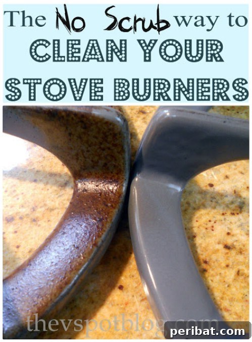 25 Genius Cleaning Shortcuts for a Sparkling Home 9 Ammonia Fume Cleaning for Stove Grates