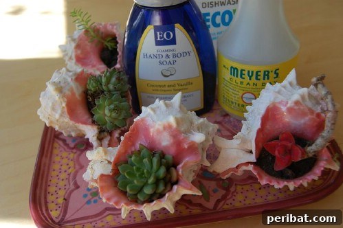 Seashell Gardens