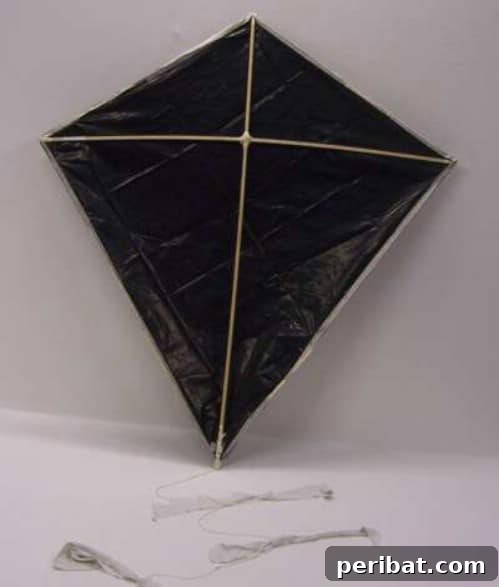 DIY Traditional Kite