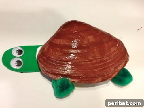 Seashell Turtles