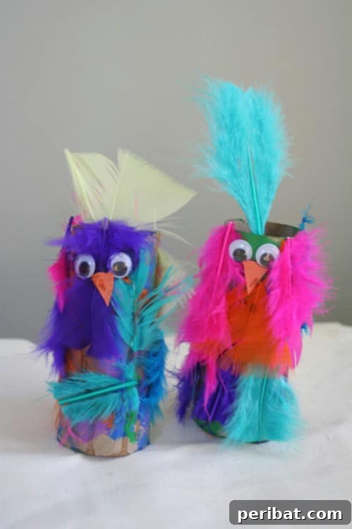 Crazy Feathered Parrots