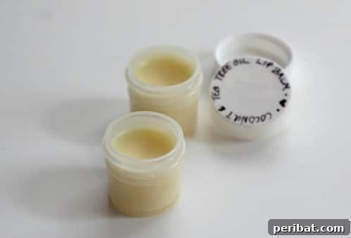 50 Natural Summer Glow Elixirs 47 Homemade All Natural Lip Balm